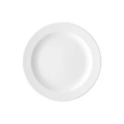 Arzberg Speiseteller 25cm Fahne Form 1382 Weiß