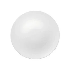 Rosenthal Speiseteller 28 Cm Jade Weiß